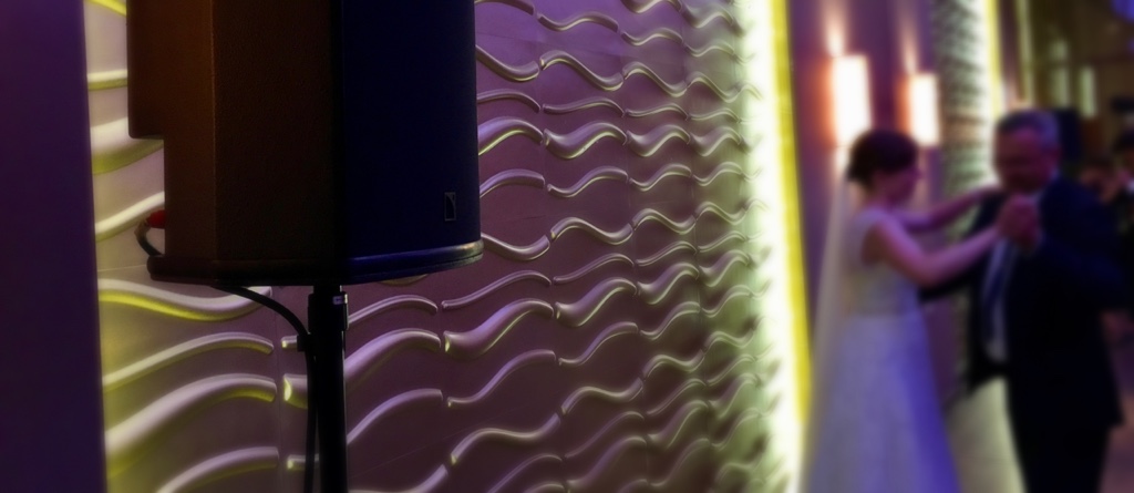 eskuevo-l-acoustics-4_2019-01-28-19-18-55.jpg